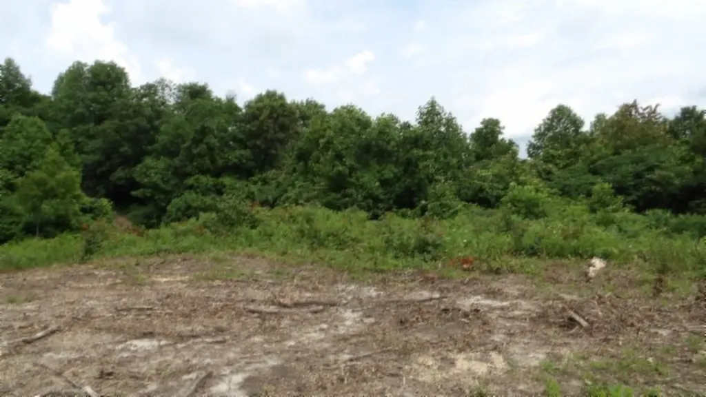 51.30AC Livingston Highway Byrdstown TN 38549