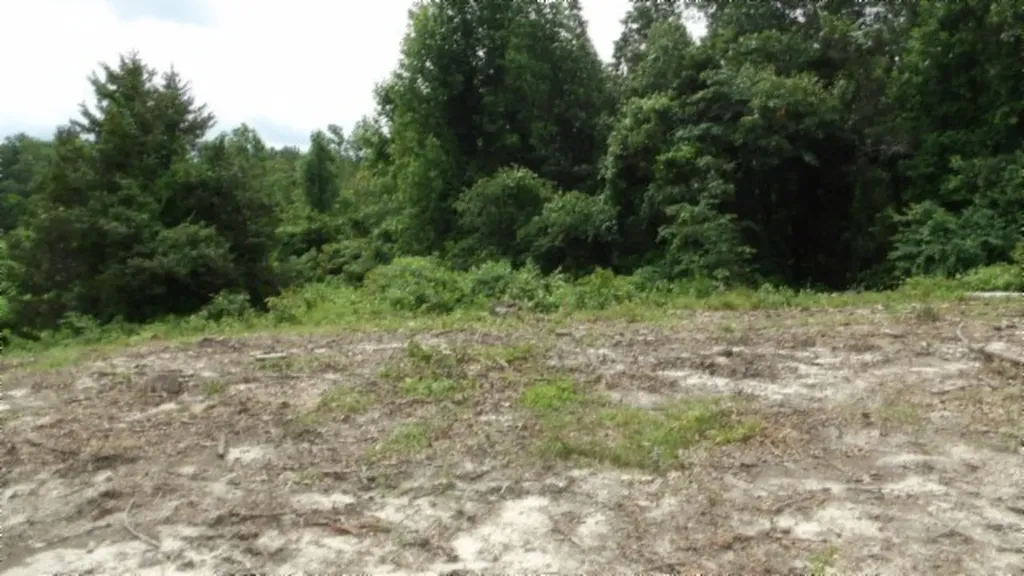 51.30AC Livingston Highway Byrdstown TN 38549