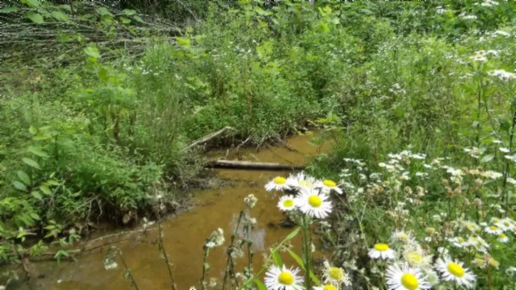 51.30AC Livingston Highway Byrdstown TN 38549