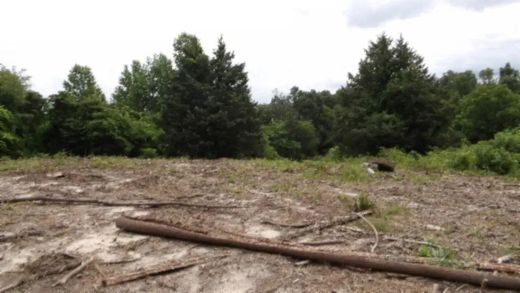 51.30AC Livingston Highway Byrdstown TN 38549