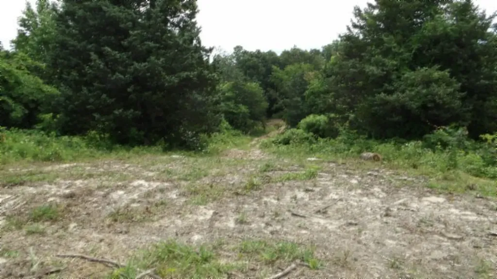 51.30AC Livingston Highway Byrdstown TN 38549