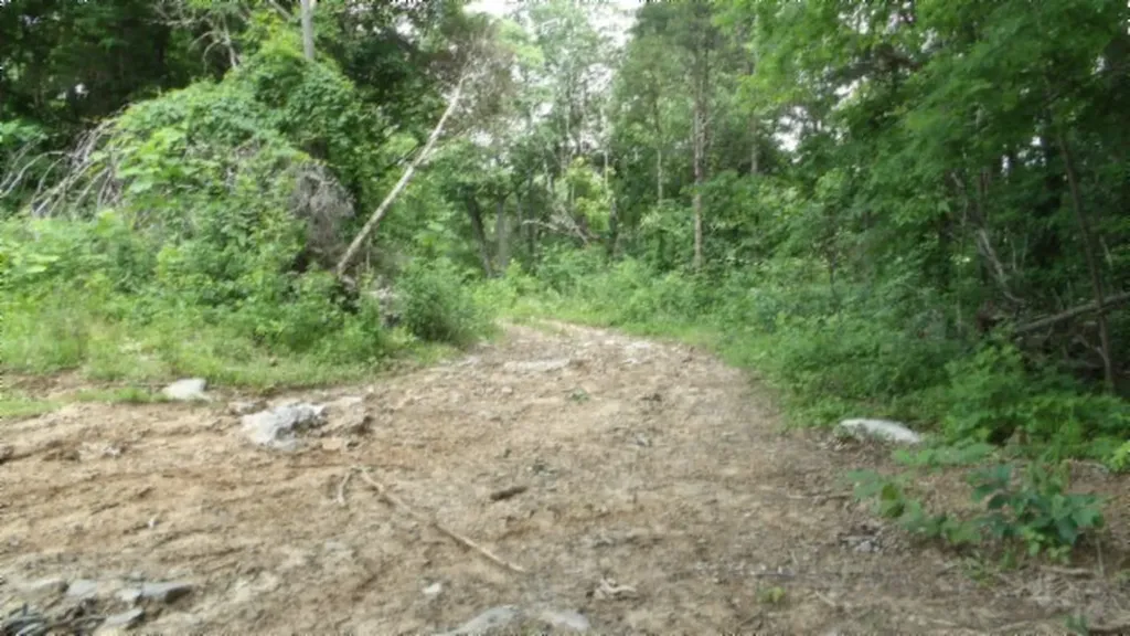 51.30AC Livingston Highway Byrdstown TN 38549
