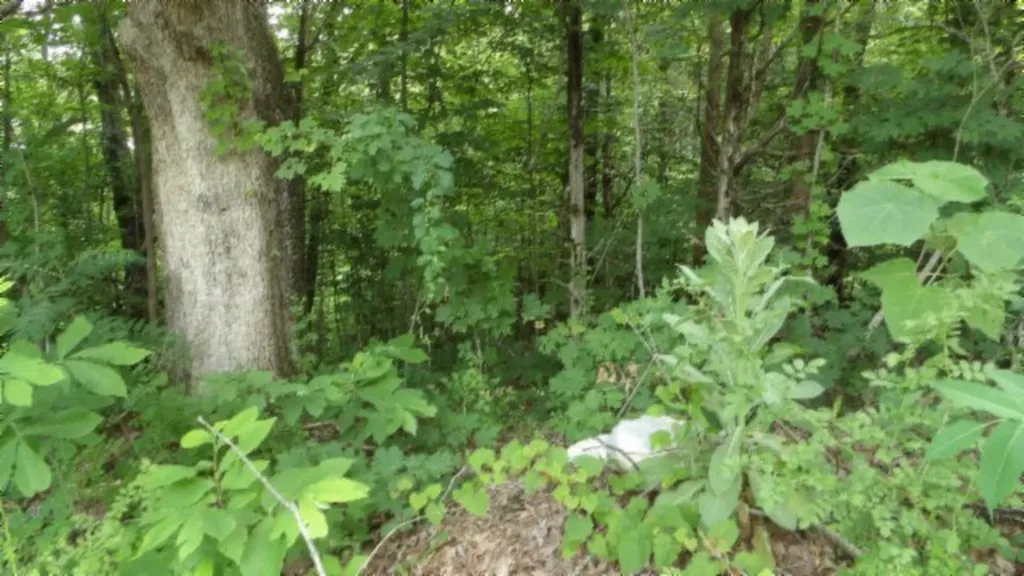 51.30AC Livingston Highway Byrdstown TN 38549