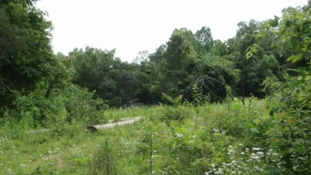 51.30AC Livingston Highway Byrdstown TN 38549