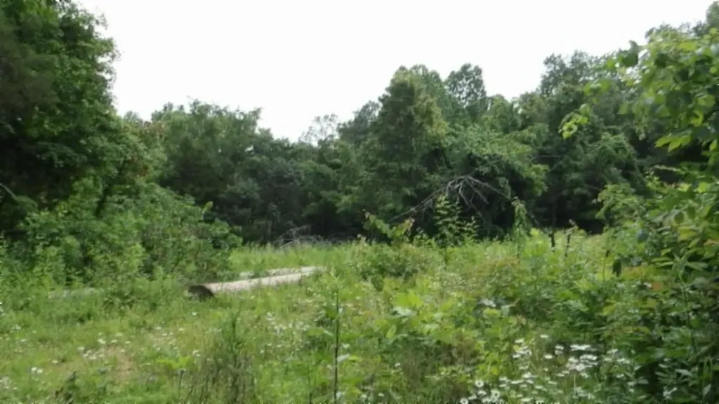 51.30AC Livingston Highway Byrdstown TN 38549