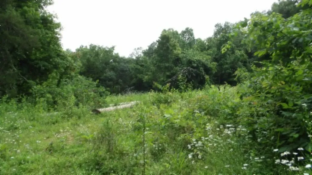 51.30AC Livingston Highway Byrdstown TN 38549
