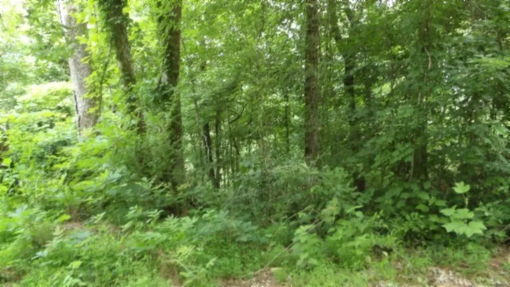 51.30AC Livingston Highway Byrdstown TN 38549