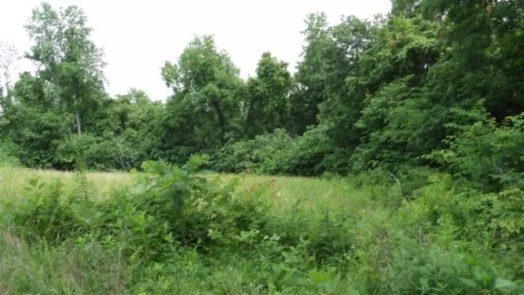 51.30AC Livingston Highway Byrdstown TN 38549
