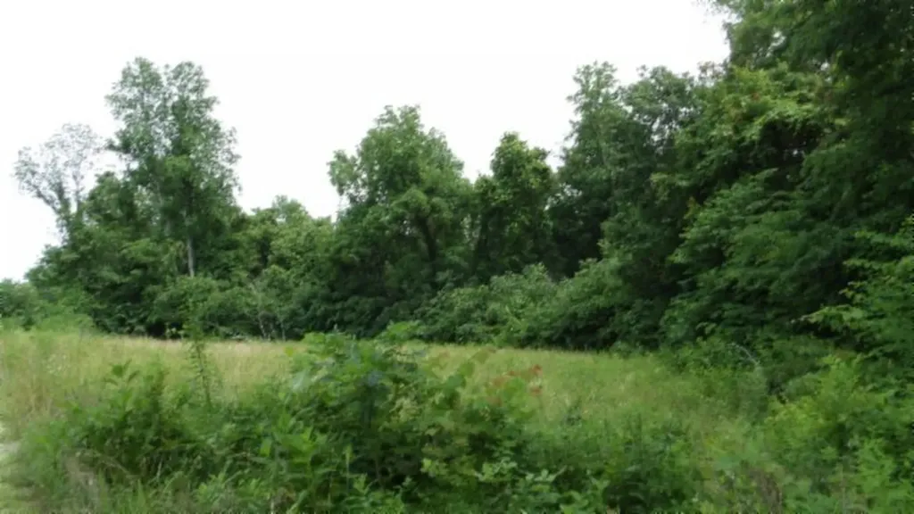 51.30AC Livingston Highway Byrdstown TN 38549