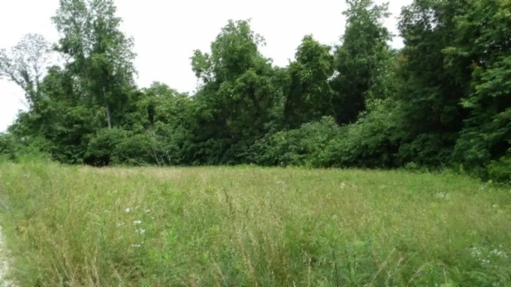 51.30AC Livingston Highway Byrdstown TN 38549