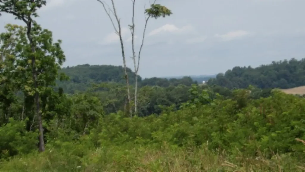 51.30AC Livingston Highway Byrdstown TN 38549