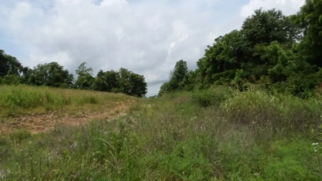 51.30AC Livingston Highway Byrdstown TN 38549