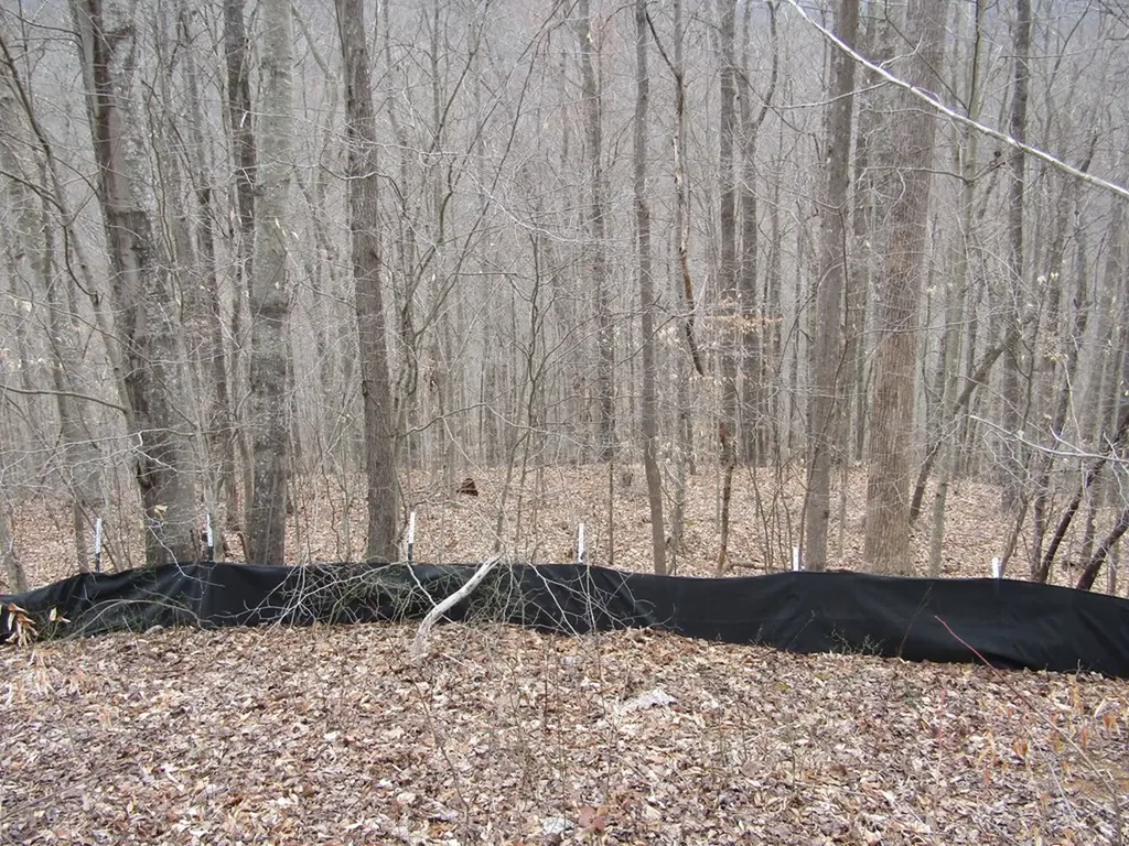 Lot 60 W Bobcat Lane Wilder TN 38589