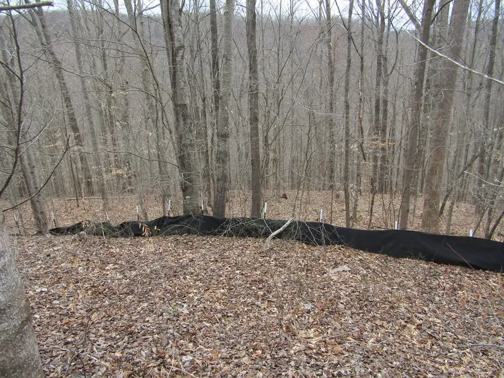 Lot 60 W Bobcat Lane Wilder TN 38589