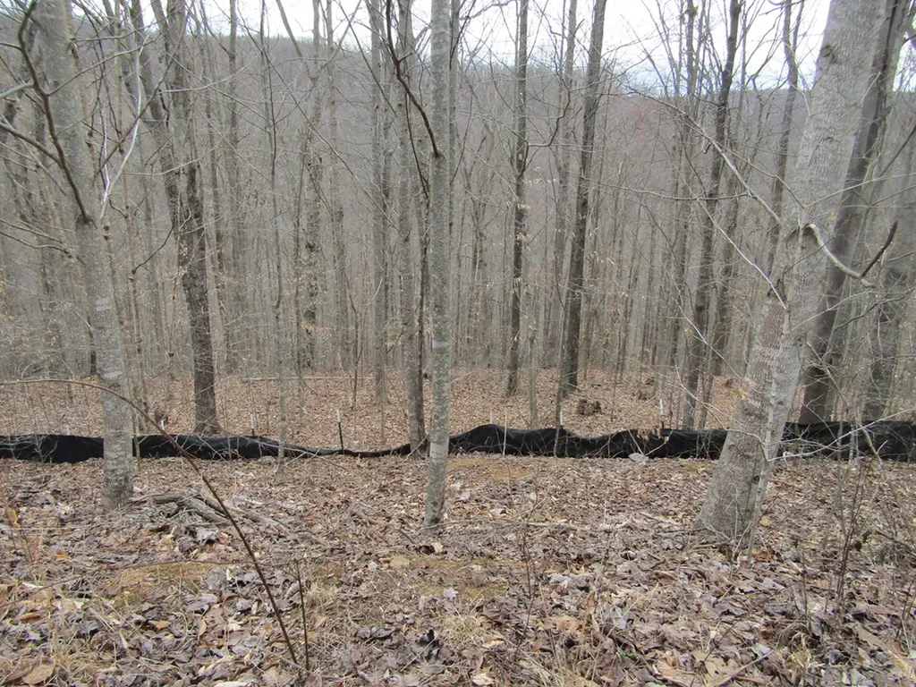 Lot 60 W Bobcat Lane Wilder TN 38589