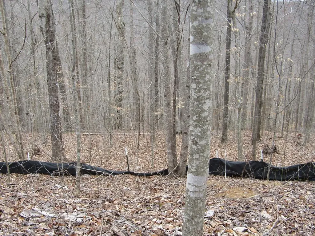 Lot 60 W Bobcat Lane Wilder TN 38589