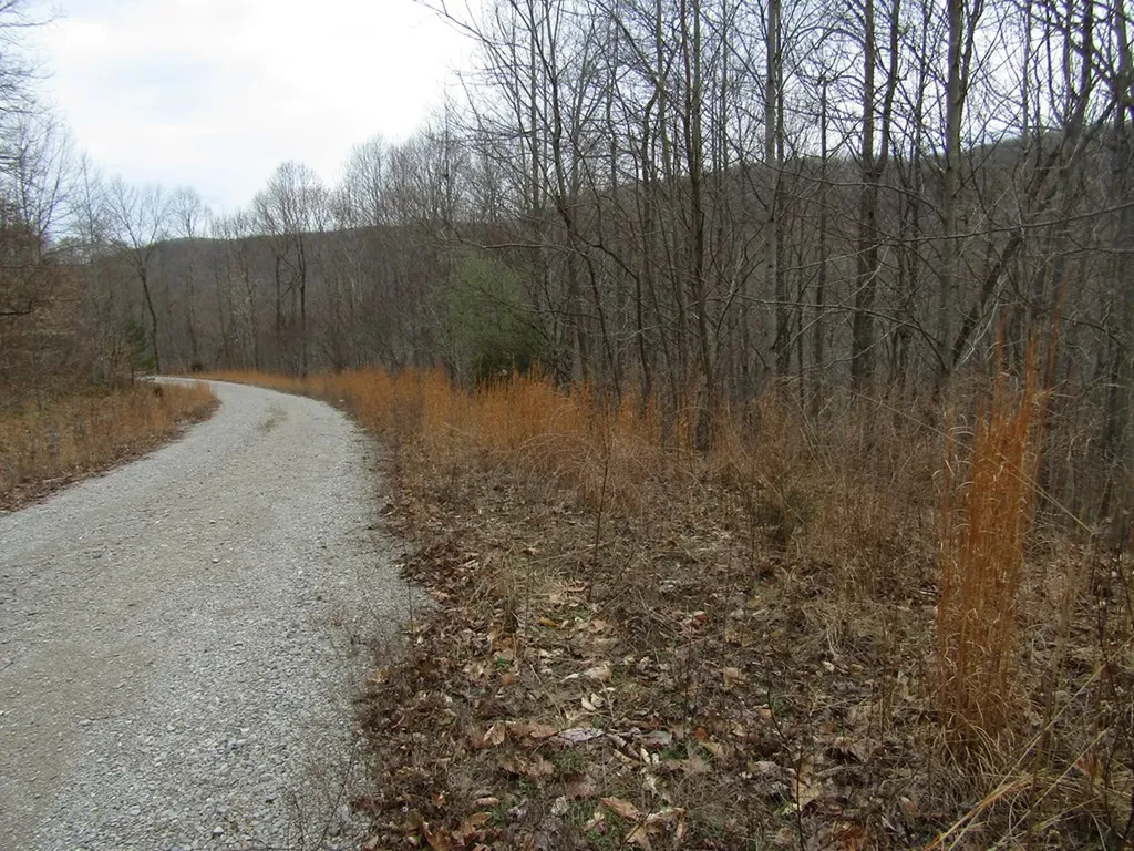 Lot 60 W Bobcat Lane Wilder TN 38589