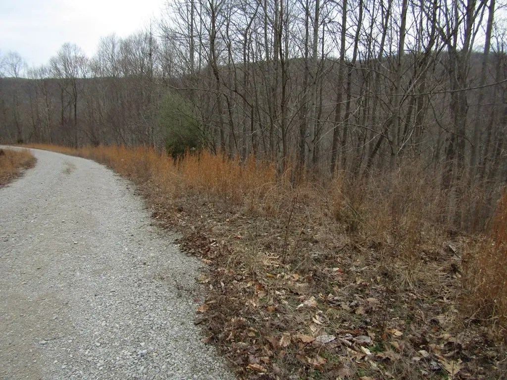 Lot 60 W Bobcat Lane Wilder TN 38589
