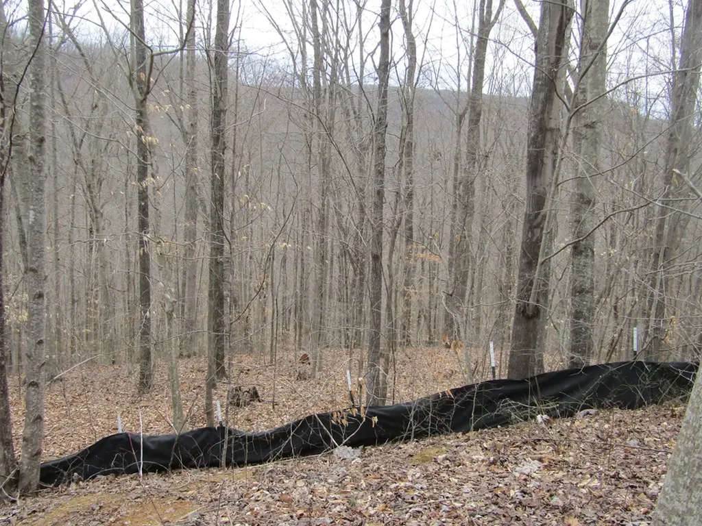 Lot 60 W Bobcat Lane Wilder TN 38589