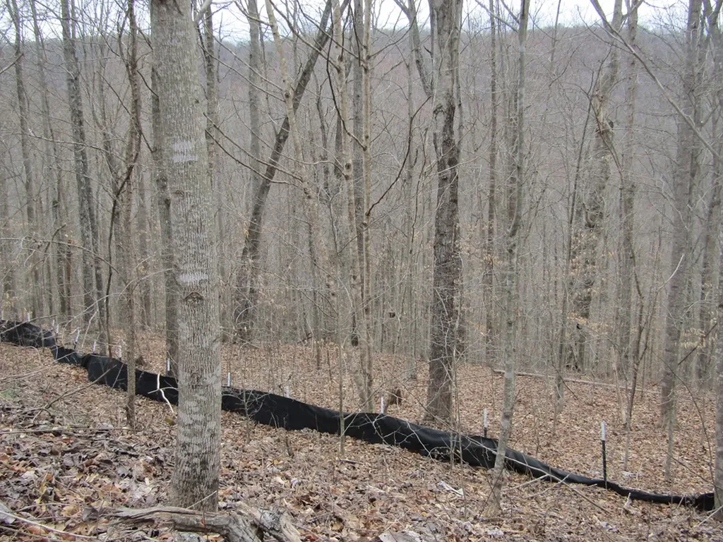 Lot 60 W Bobcat Lane Wilder TN 38589