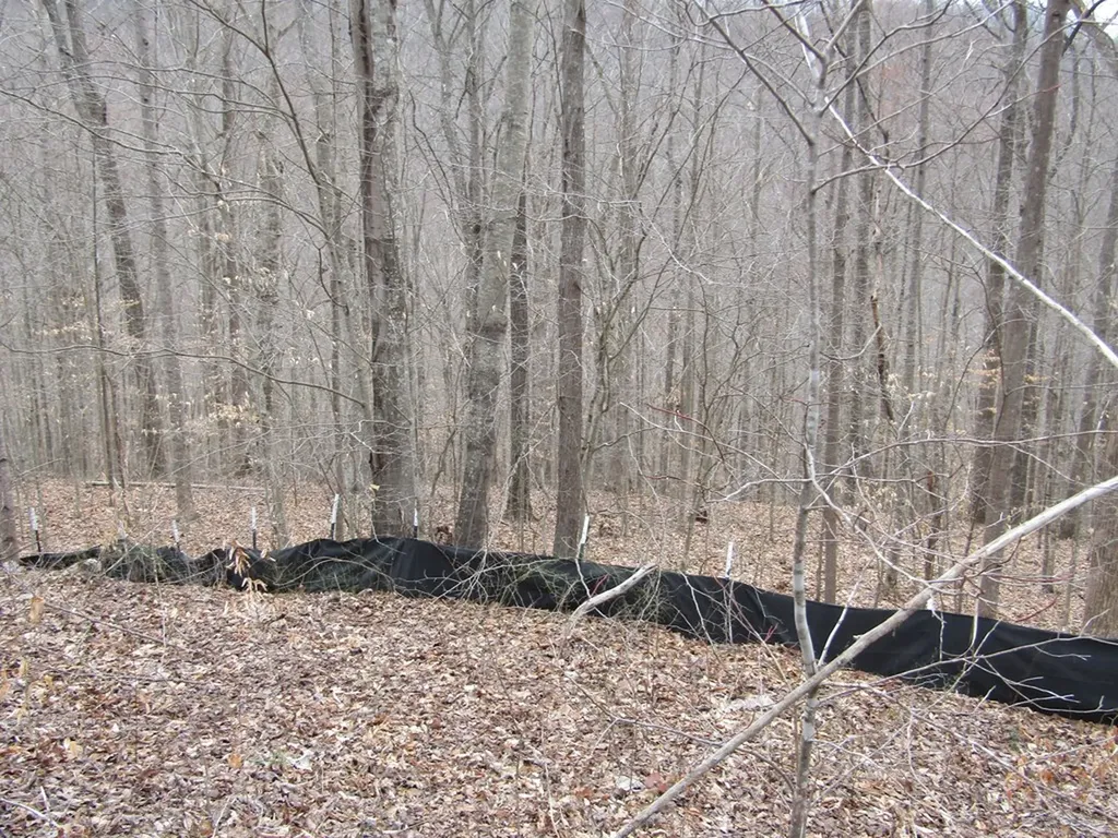 Lot 60 W Bobcat Lane Wilder TN 38589