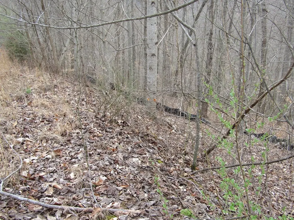 Lot 60 W Bobcat Lane Wilder TN 38589