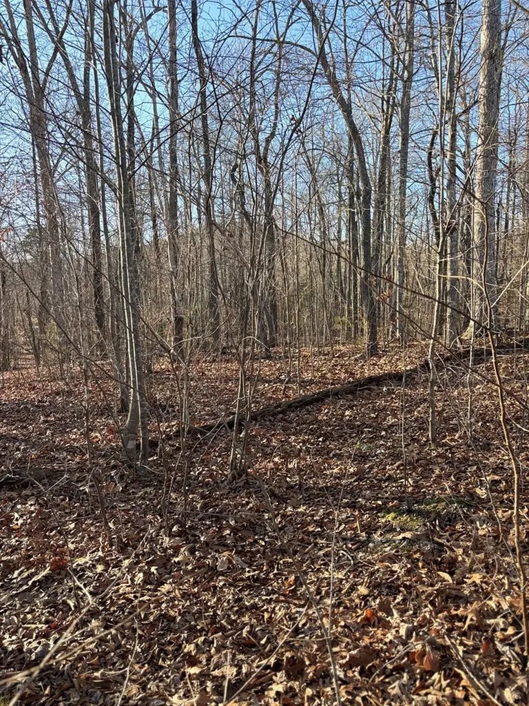 0 Lloyd Stover Road Allons TN 38541