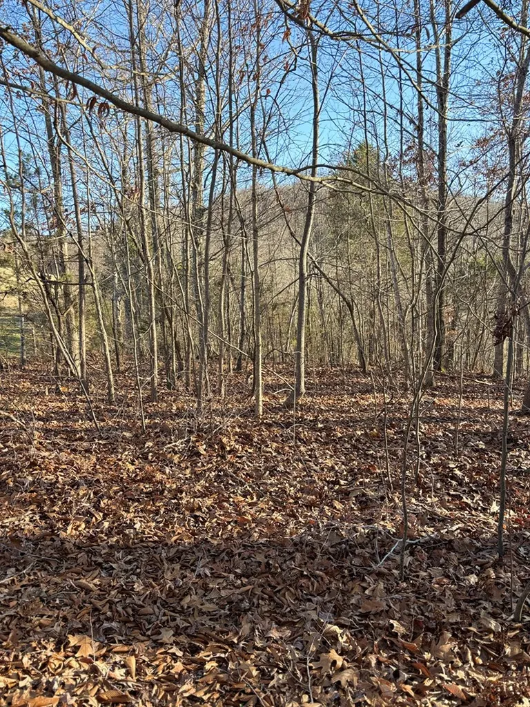 0 Lloyd Stover Road Allons TN 38541