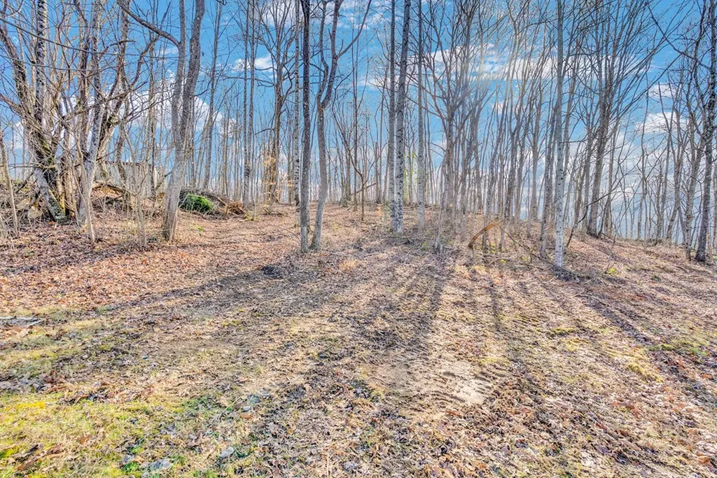 174 Copeland Road Sparta TN 38583