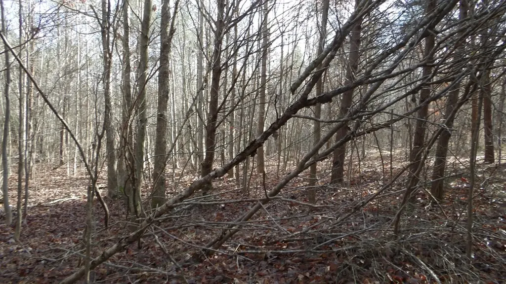 Lot 185 Meadow Lane Spencer TN 38585