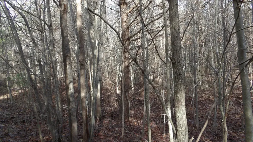 Lot 185 Meadow Lane Spencer TN 38585