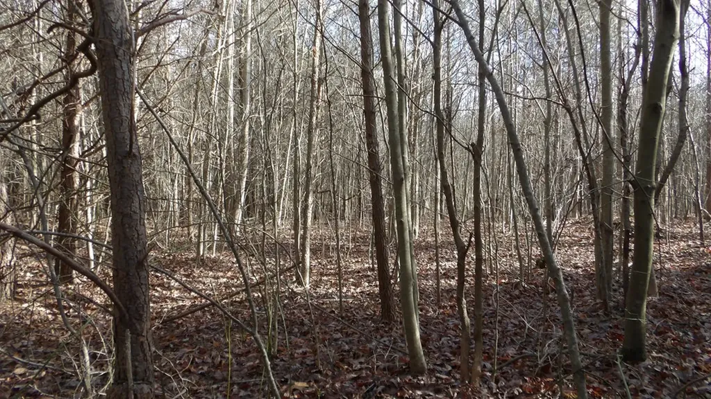 Lot 185 Meadow Lane Spencer TN 38585