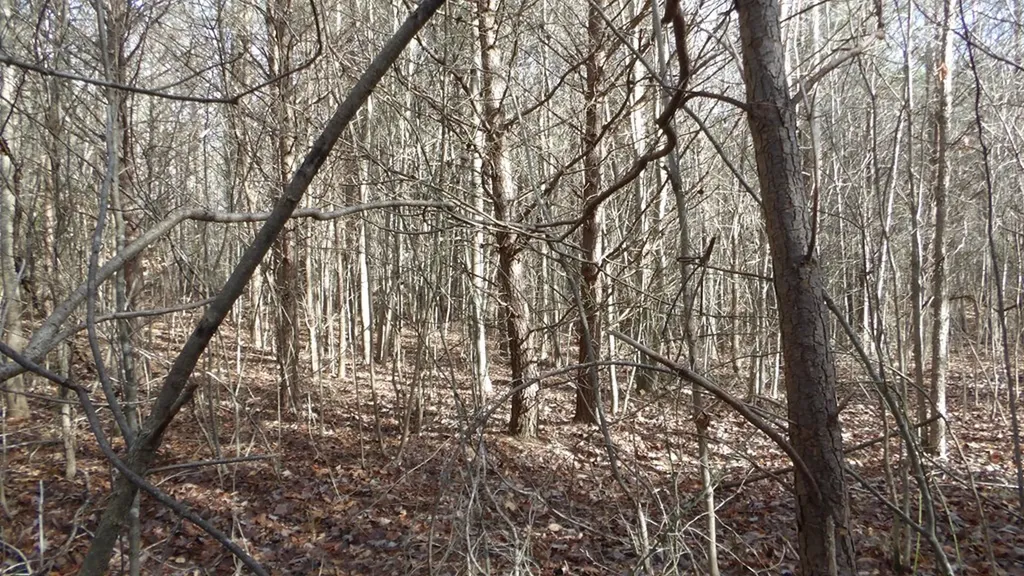 Lot 185 Meadow Lane Spencer TN 38585
