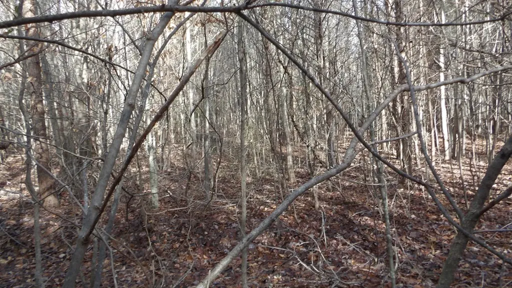 Lot 185 Meadow Lane Spencer TN 38585