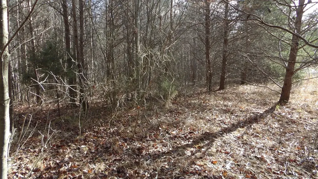 Lot 185 Meadow Lane Spencer TN 38585