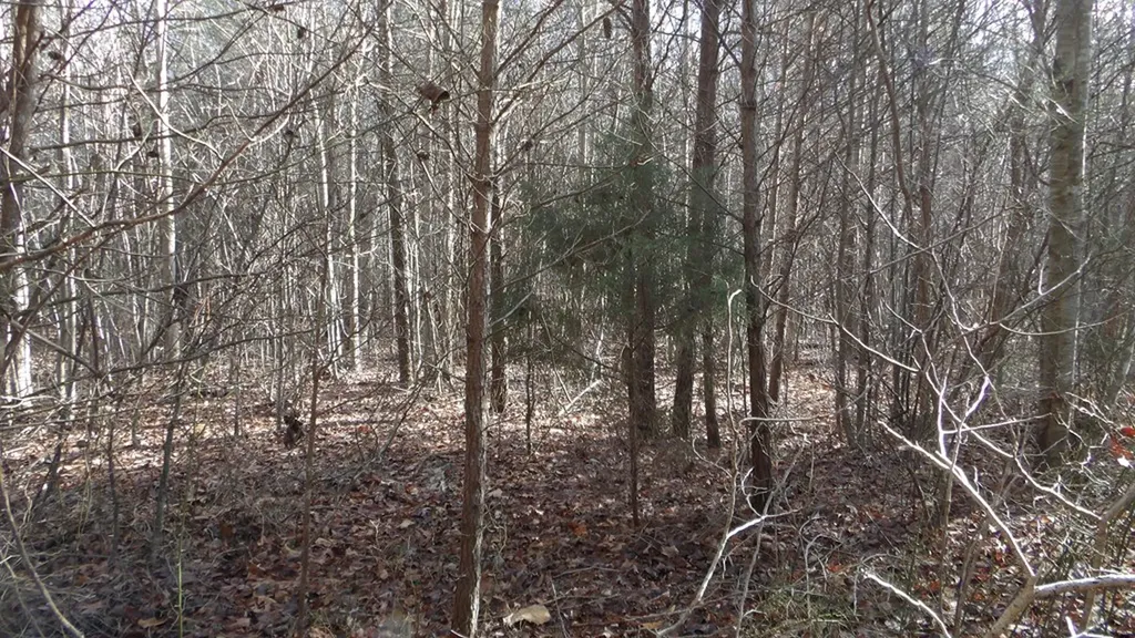 Lot 185 Meadow Lane Spencer TN 38585
