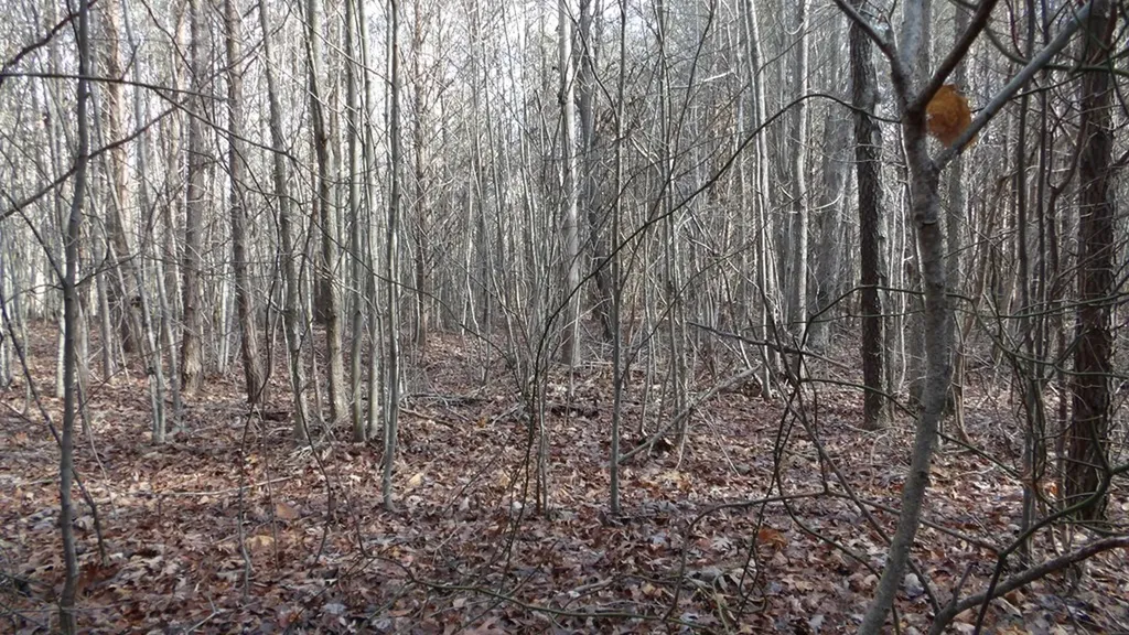 Lot 185 Meadow Lane Spencer TN 38585