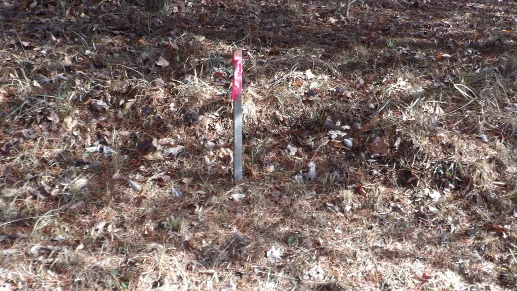 Lot 185 Meadow Lane Spencer TN 38585