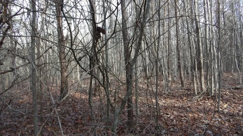 Lot 185 Meadow Lane Spencer TN 38585