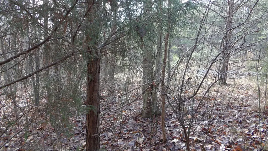 Lot 185 Meadow Lane Spencer TN 38585