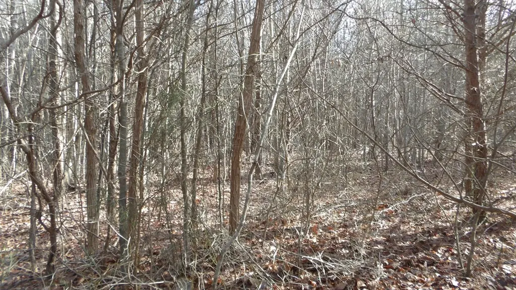 Lot 185 Meadow Lane Spencer TN 38585