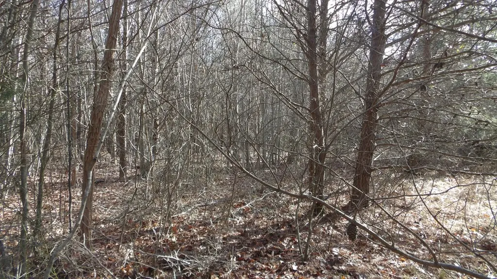 Lot 185 Meadow Lane Spencer TN 38585