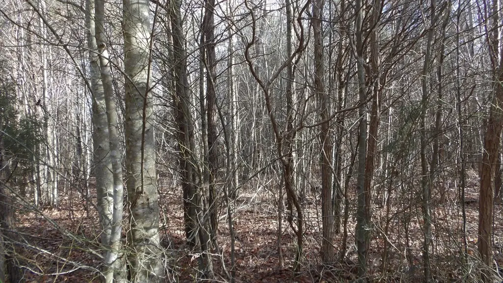 Lot 185 Meadow Lane Spencer TN 38585