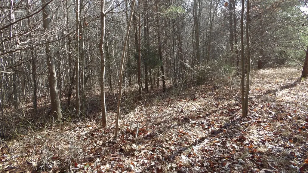 Lot 185 Meadow Lane Spencer TN 38585