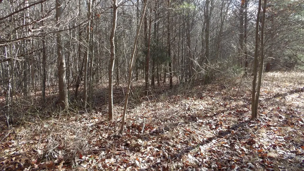 Lot 185 Meadow Lane Spencer TN 38585