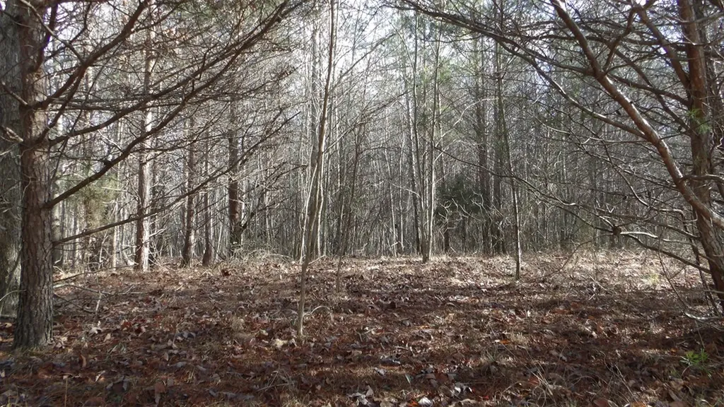 Lot 185 Meadow Lane Spencer TN 38585