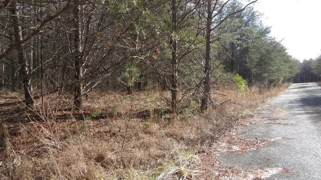 Lot 185 Meadow Lane Spencer TN 38585