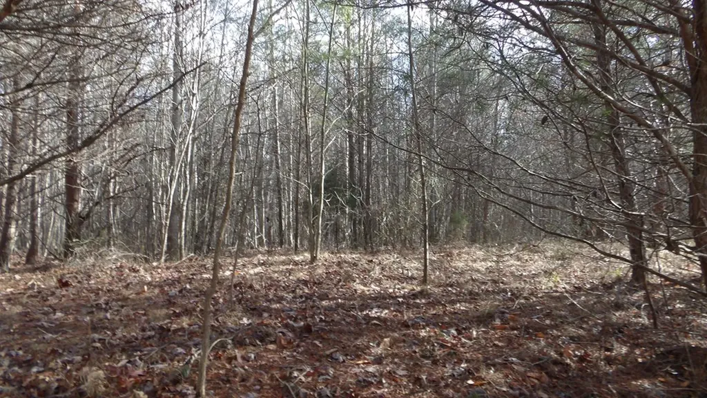 Lot 185 Meadow Lane Spencer TN 38585