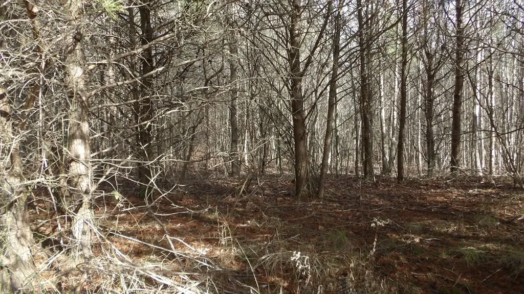 Lot 185 Meadow Lane Spencer TN 38585