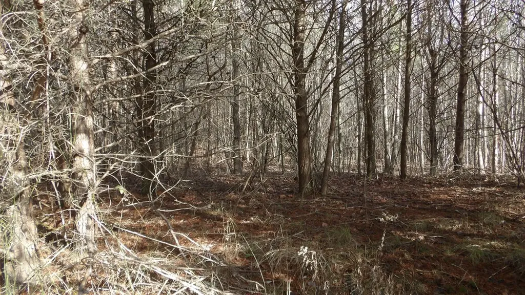Lot 185 Meadow Lane Spencer TN 38585